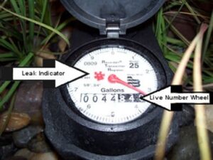 plumbing leaks