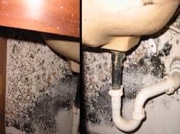 Plumbing Leak Under Sink