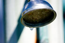 Plumbing Leaks