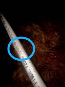 Repipe Damaged By Rodent