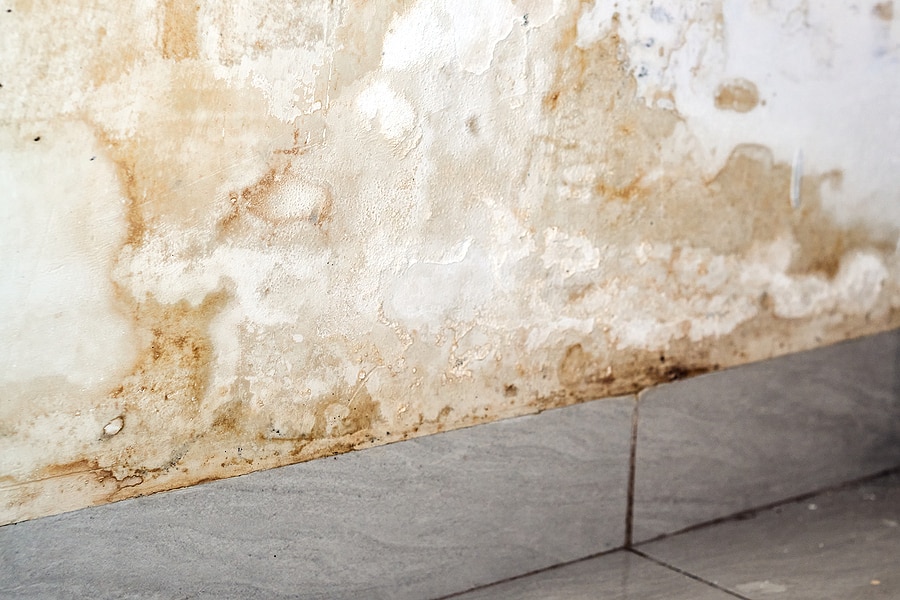Water Damage Restoration